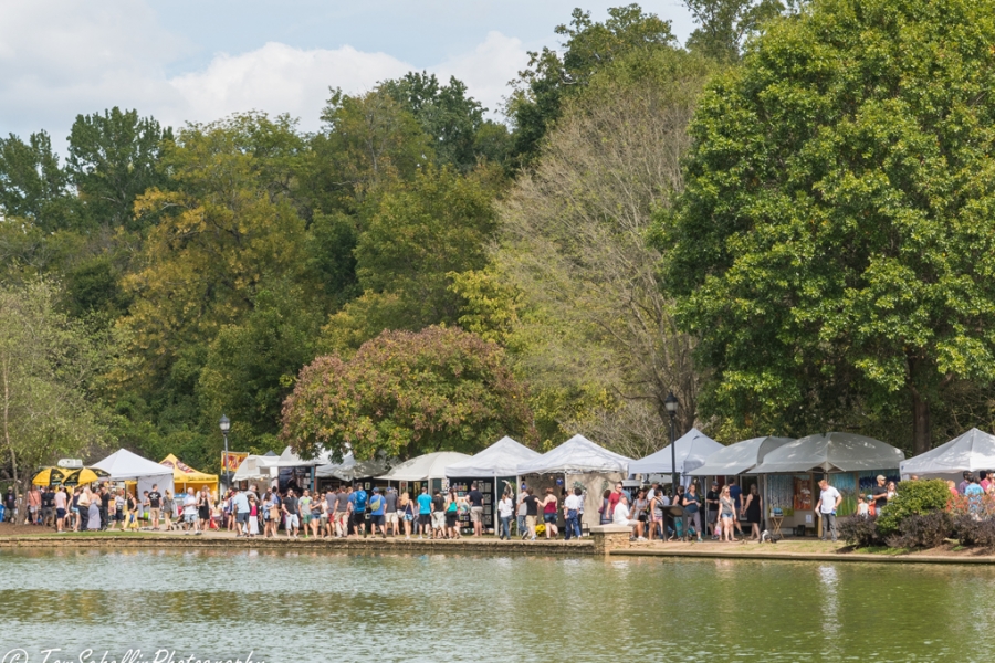 Festival in the Park 2017-179