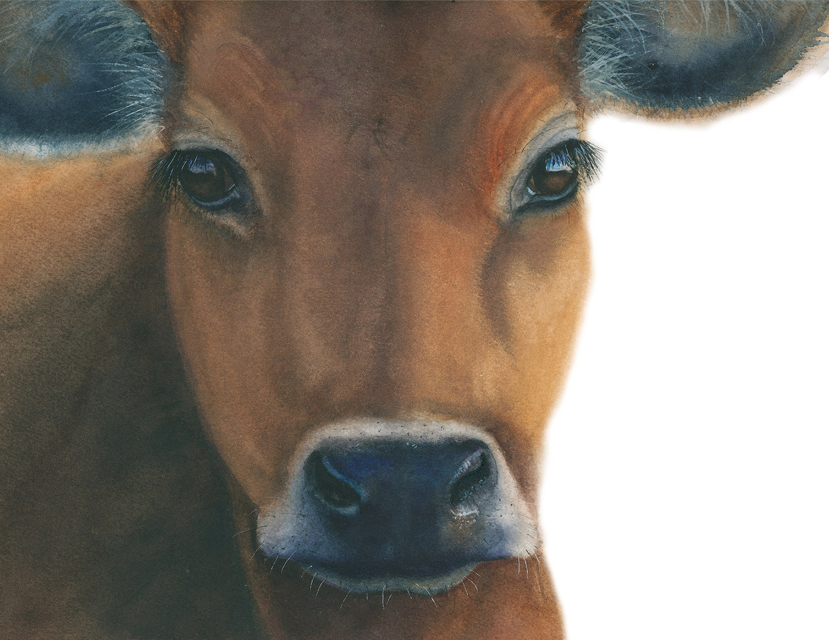 Vanessa Thorman Vanessa Thorman