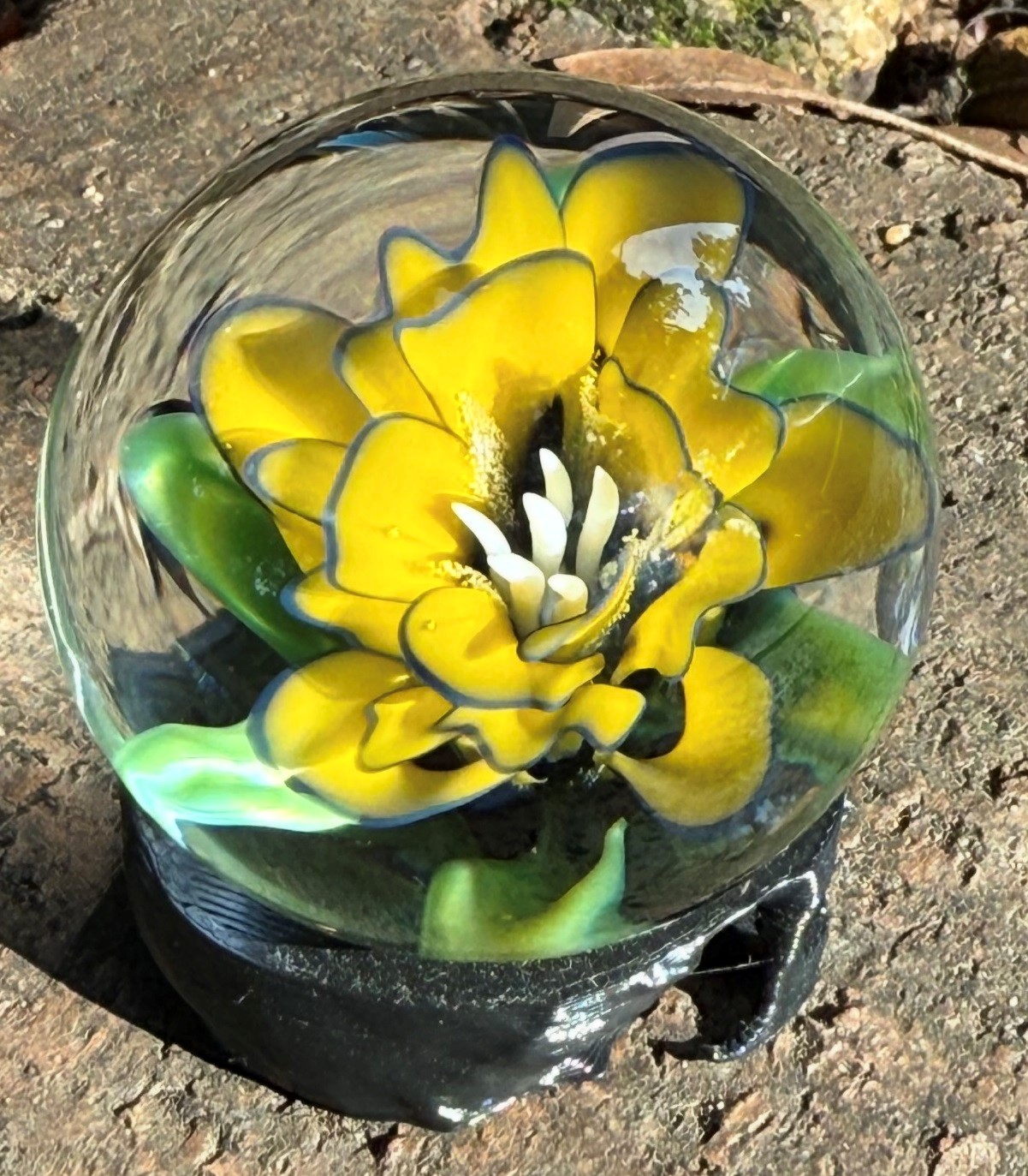 Michael Grayson & Nancy Moss